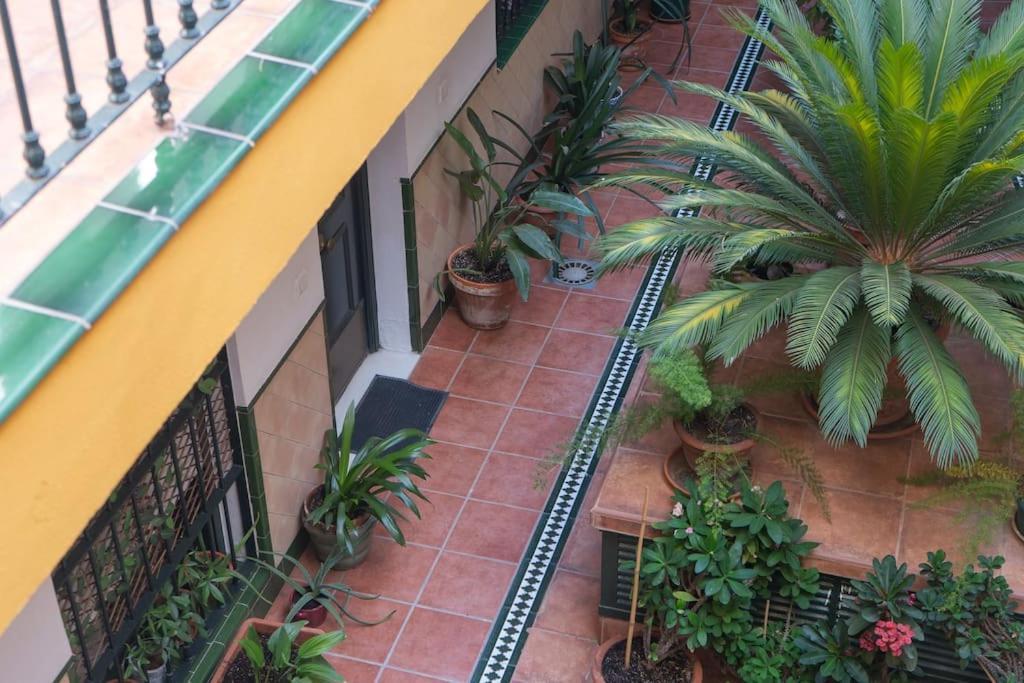 Apartamento Junto A Las Setas De Sevilla Exterior photo